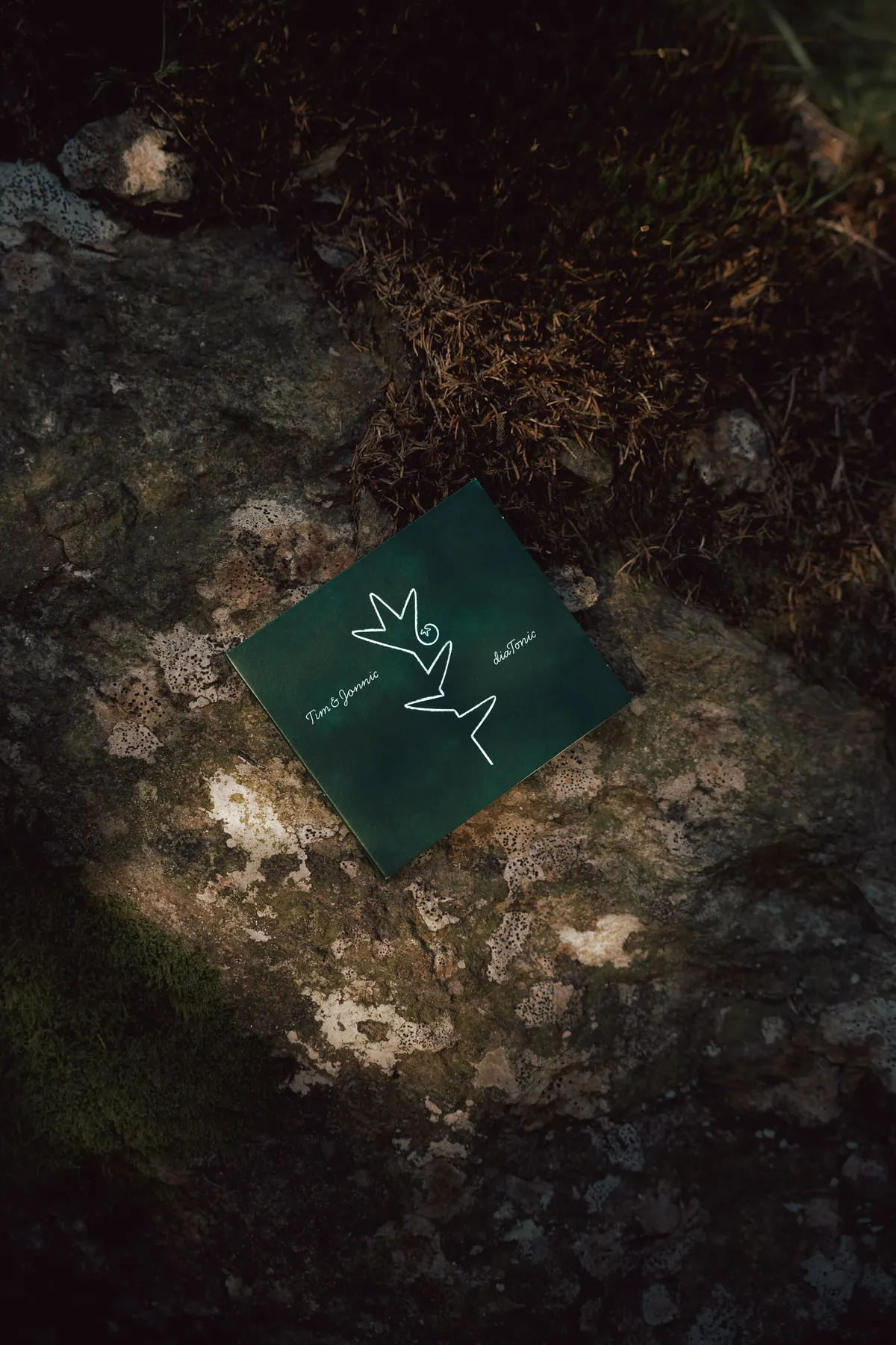 The dark green diaTonic sleeve on a rock